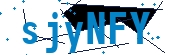 recaptcha